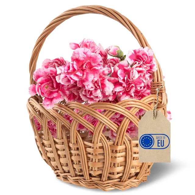 Creative Home Cestino in Vimini con Manico 19x14x21 cm Traforato